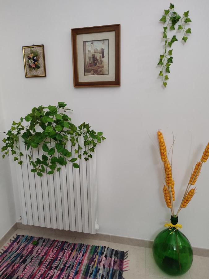 B&B Aquila ألبيروبيللو المظهر الخارجي الصورة